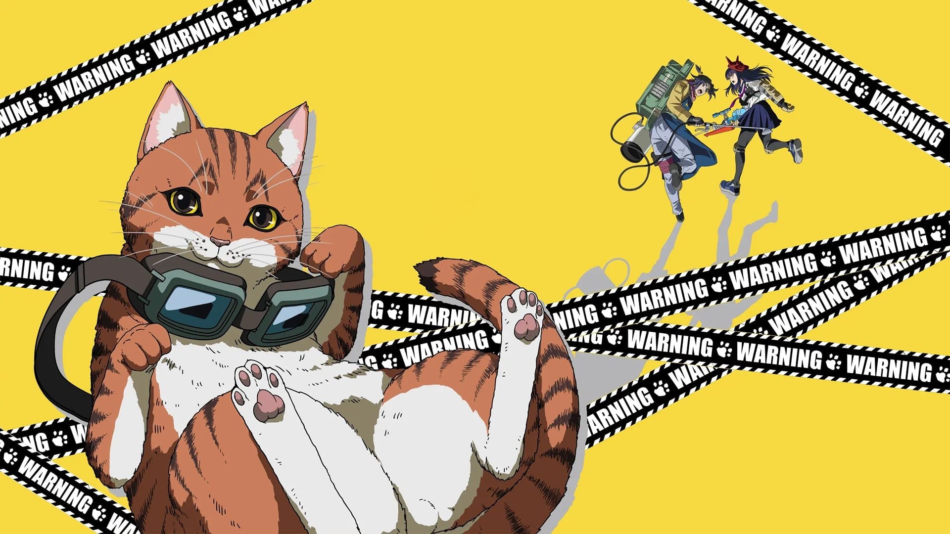 Everything Becomes Cat