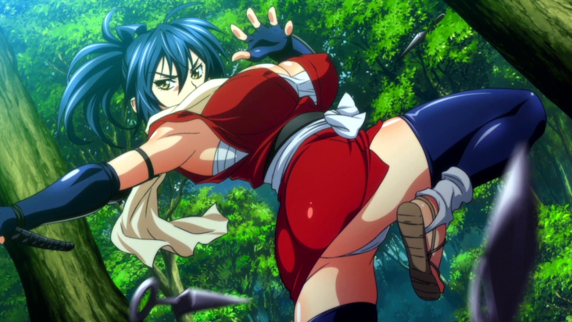 Chifusa Defects