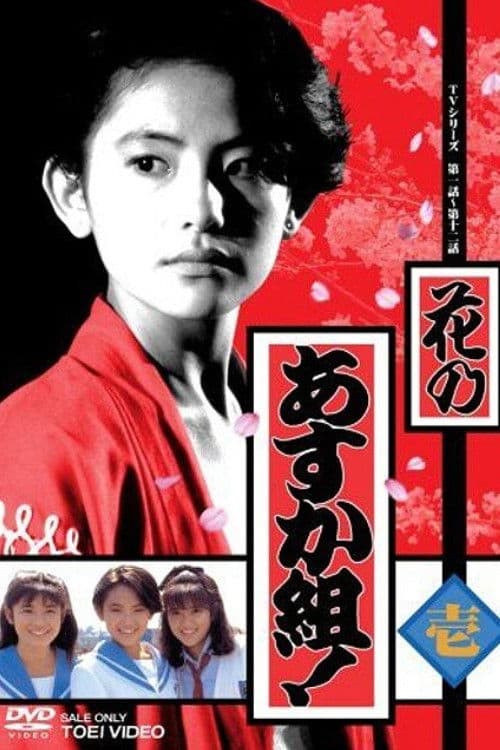 The Storm Blows in the Girls' Sengoku War!